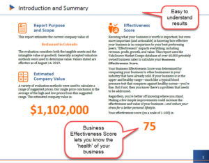 Business Effectiveness Score